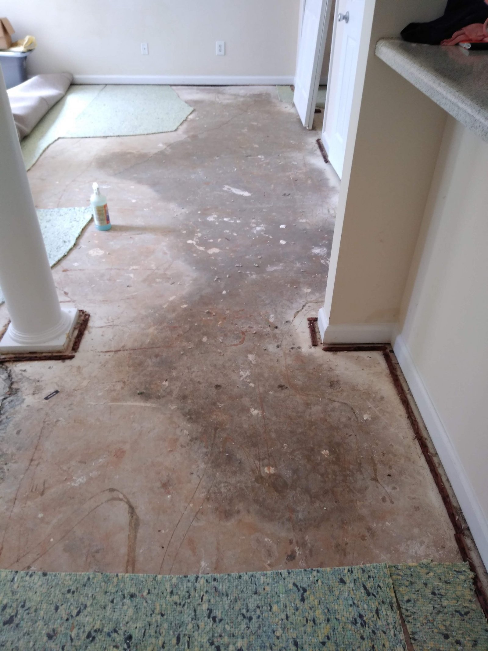 Carpet Services 1 Carpet Cleaning & Repair Lawrenceville