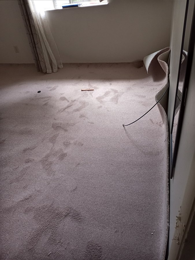 Carpet Services 1 Carpet Cleaning & Repair Lawrenceville