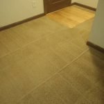 carpet cleaning Lawrenceville