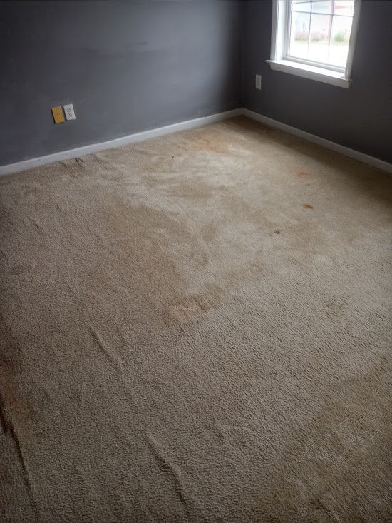 carpet flooring services