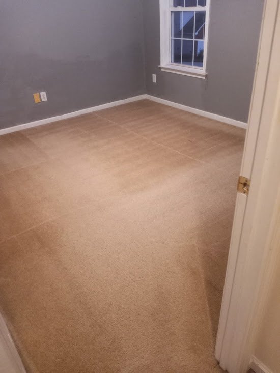 carpet cleaning service