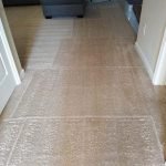 carpet cleaning